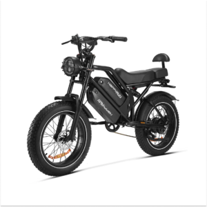 Electric Bicycles