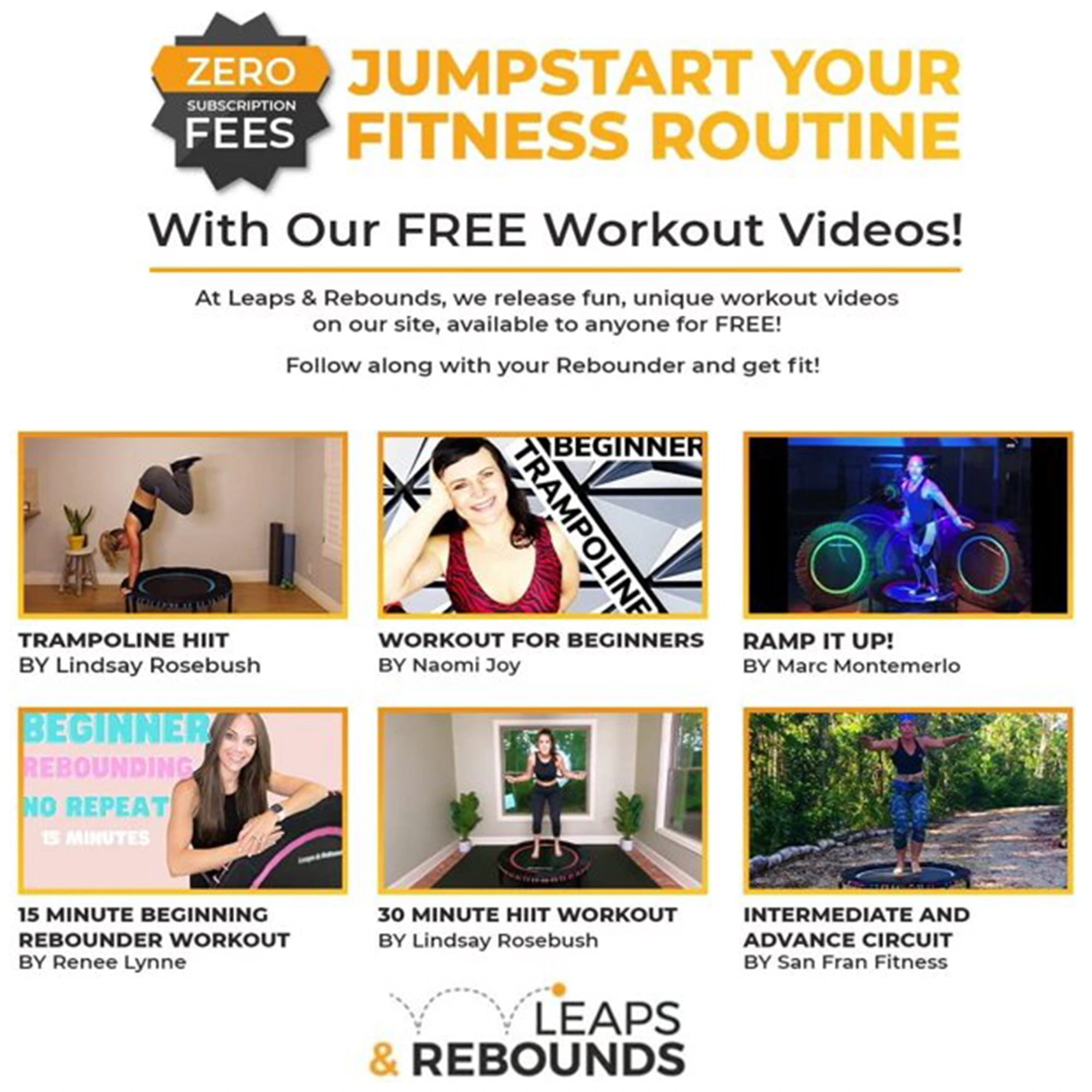 The Leaps & ReBounds Fitness Trampoline – Bungee Rebounder - Image 9