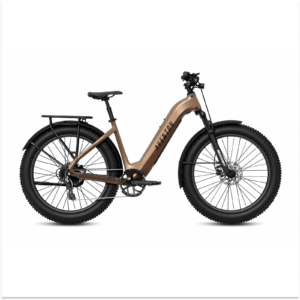Aventon Aventure 3 Step-Through for E-bike